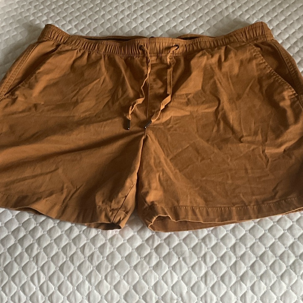 GAP Men’s Brown shorts